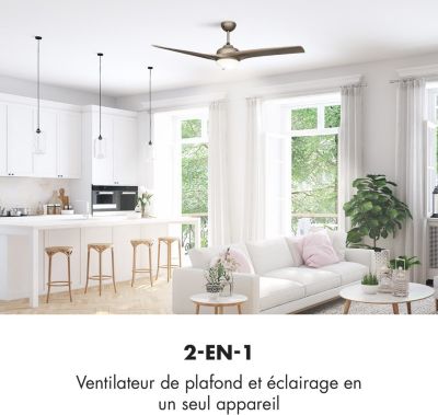 Ventilateur KLARSTEIN Figo - 2 En 1 - 55W - Gris