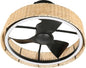  Ventilateur Plafonnier FARELEK 112450