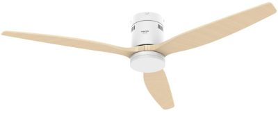  Ventilateur Plafonnier TAURUS POLAR 3B